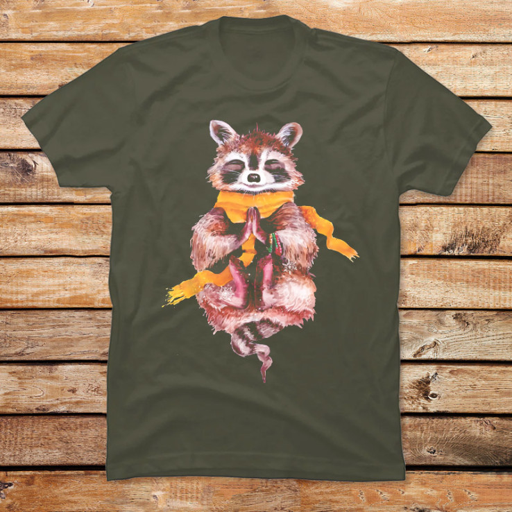 Raccoon Meditates