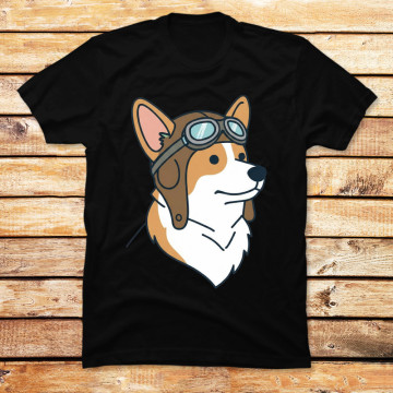 The Barnstormer Corgi