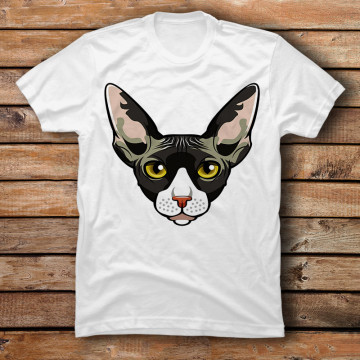 Cool Sphynx Cat