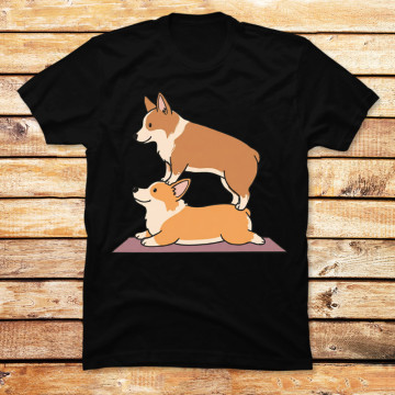 Acroyoga Corgi