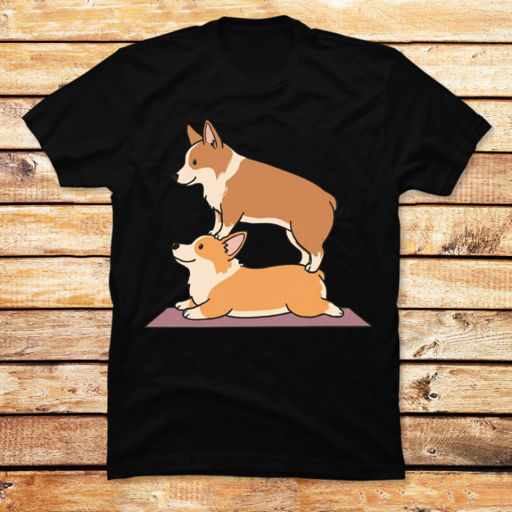 Acroyoga Corgi