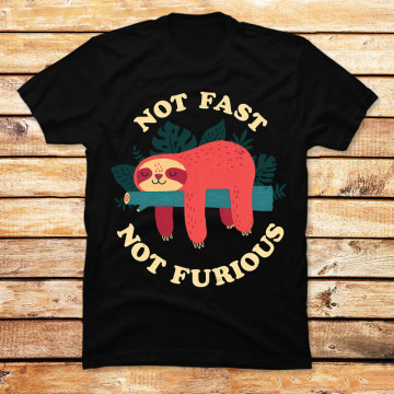 Not Fast, Not Furious