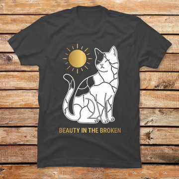 Kintsugi Cat