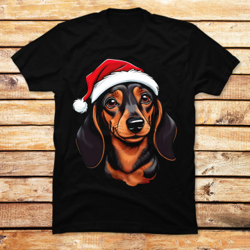 Cute dachshund with santa hat