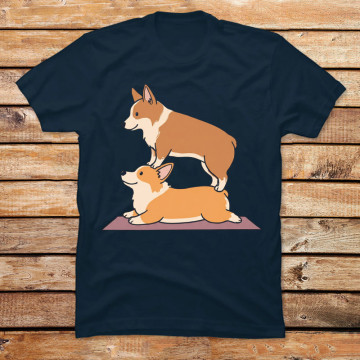 Acroyoga Corgi