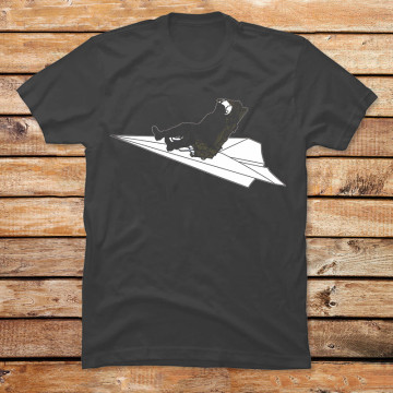 The Paper Plane Pilot