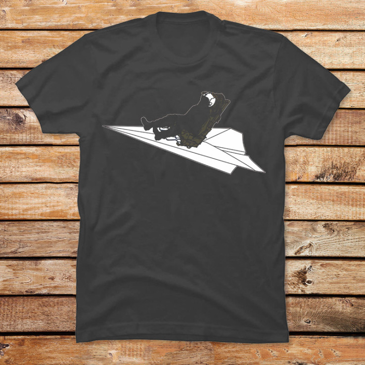 The Paper Plane Pilot