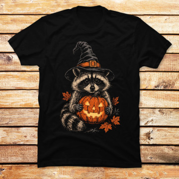 The Raccoon Sorcerer