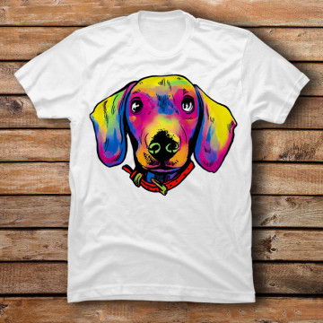 Dachshund Color