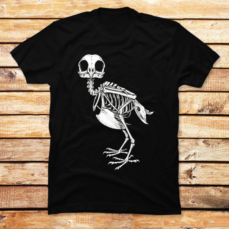 Osteology of the Owl