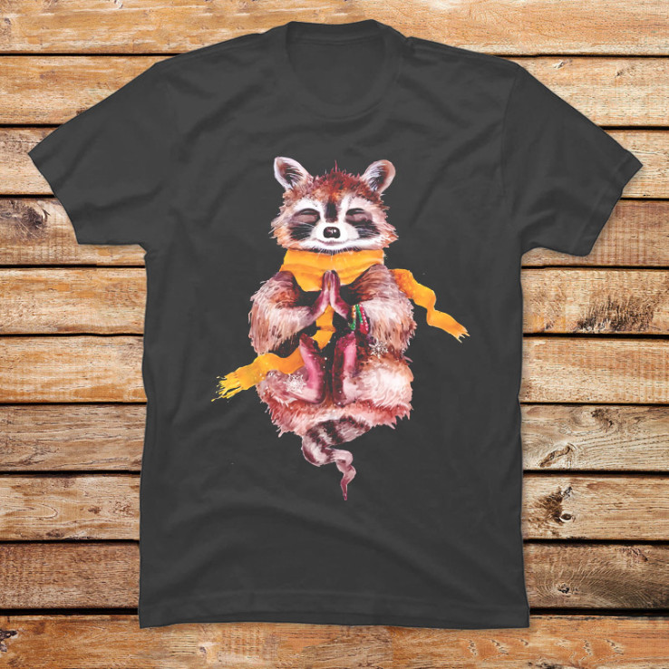 Raccoon Meditates