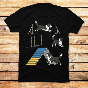 Border Collie Agility