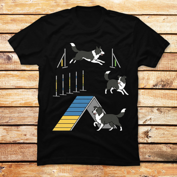 Border Collie Agility