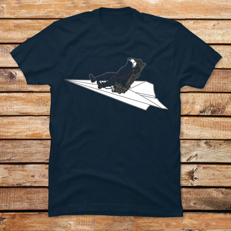 The Paper Plane Pilot
