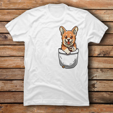 Pocket Cute Corgi Puppy