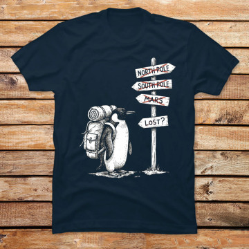 Lost Explorer