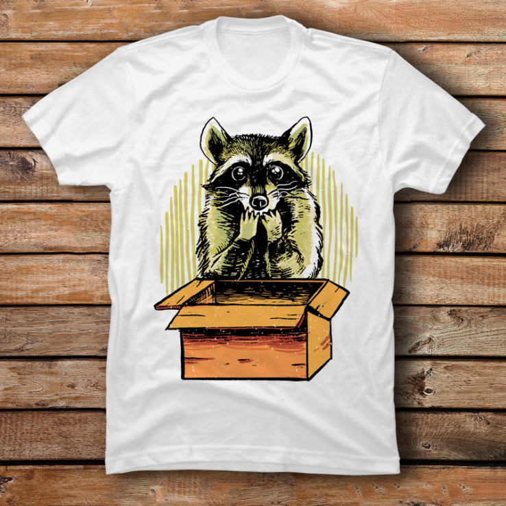 Raccoon Box