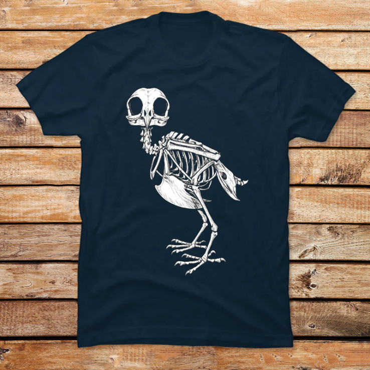 Osteology of the Owl