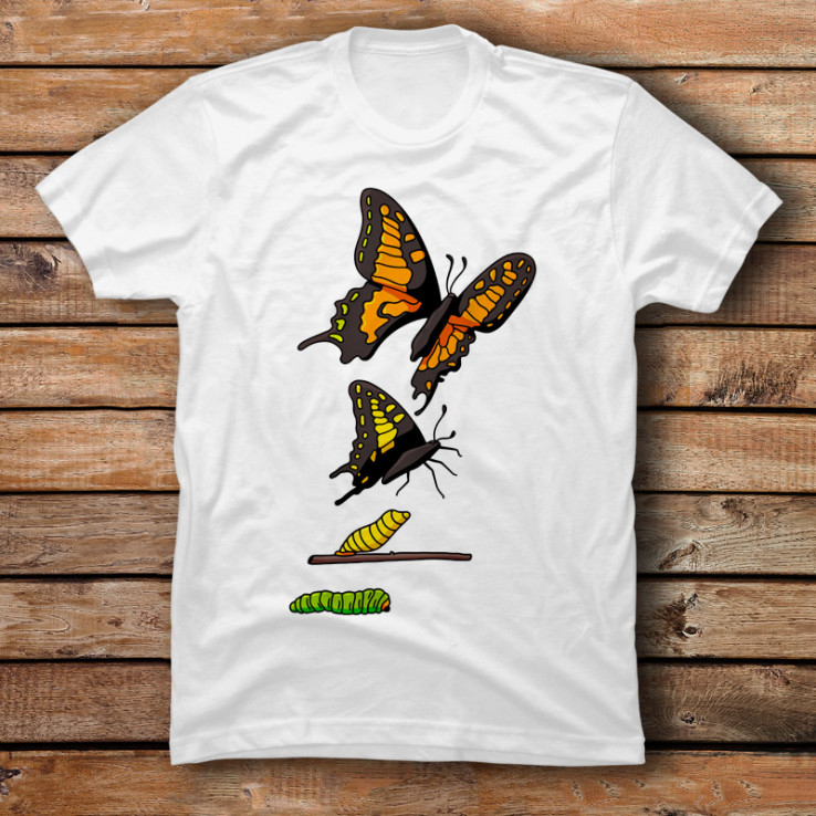 Butterfly Evolution