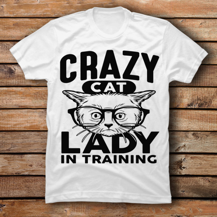 Cat Lady Training