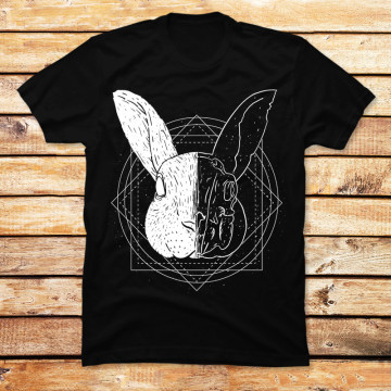Rabbit Skull
