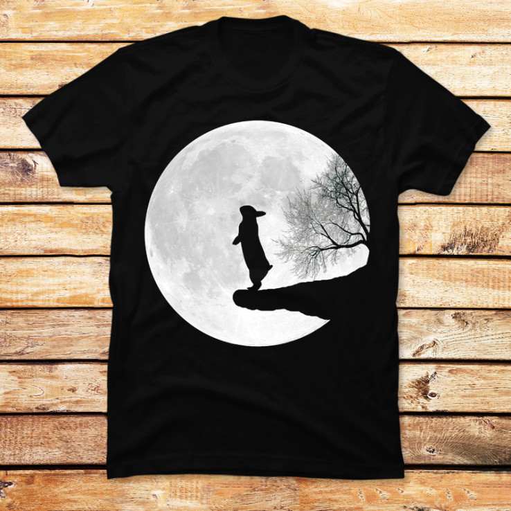 Moon Bunny