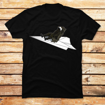 The Paper Plane Pilot