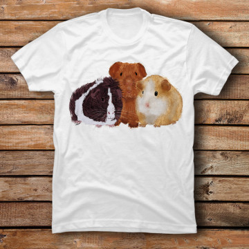 3 Guinea Pigs