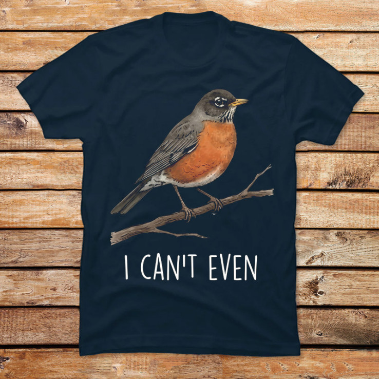 I Can't Even Robin