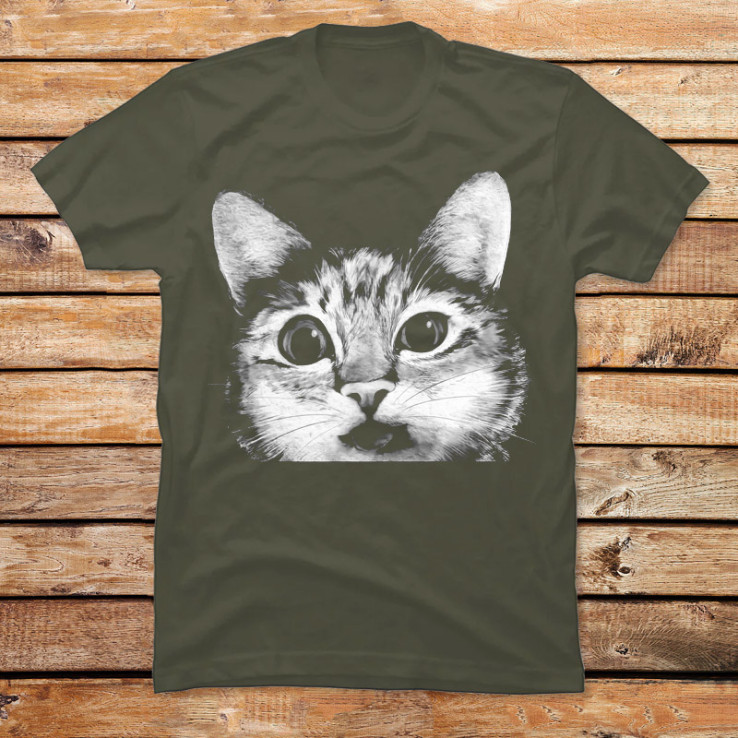 Silly Cat