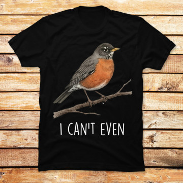 I Can't Even Robin