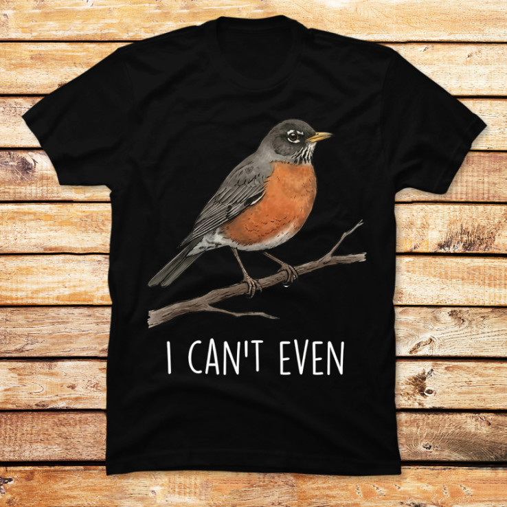 I Can't Even Robin
