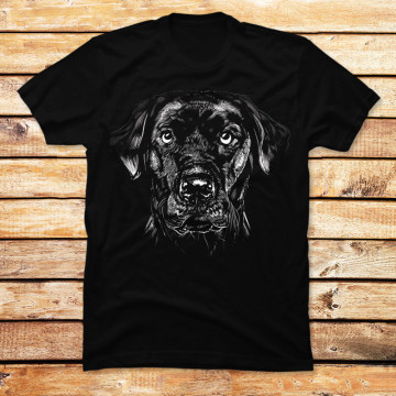 Labrador Retriever Portrait