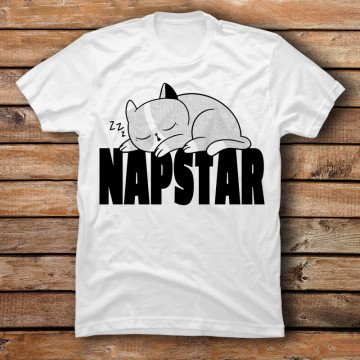 NAPSTAR