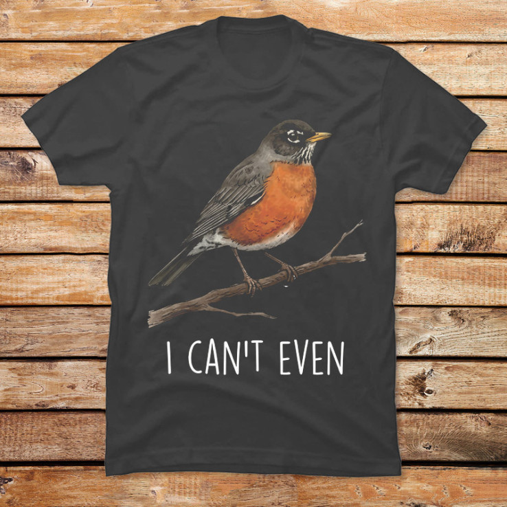 I Can't Even Robin