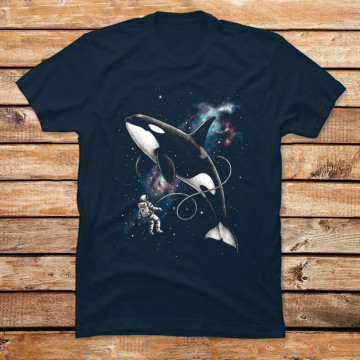 Cosmic Voyage