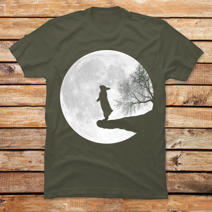 Moon Bunny