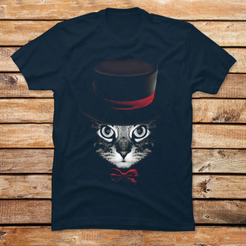Magician Cat