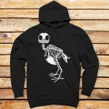 Osteology of the Owl