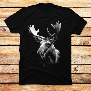 Moose