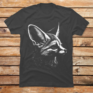 Mr Fennec