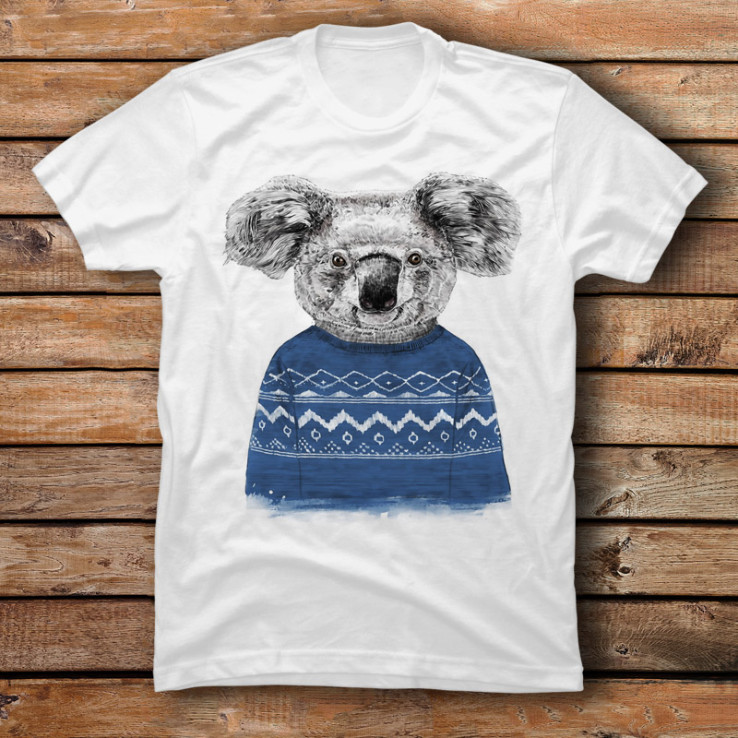 Winter Koala