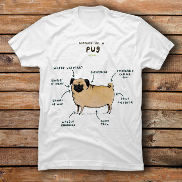 Anatomy Of A Pug