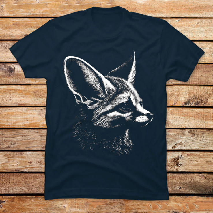 Mr Fennec