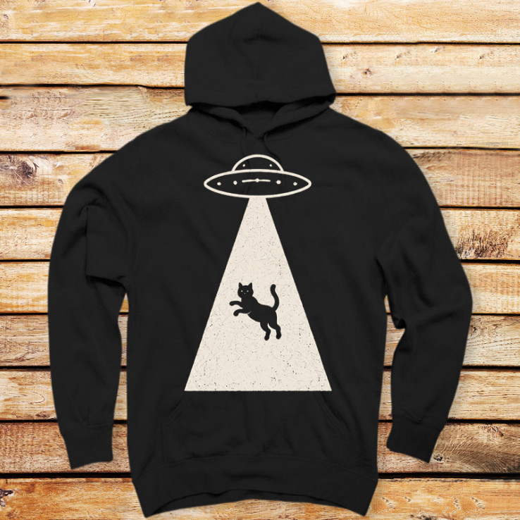 Cosmic Catnap