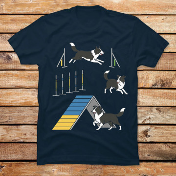 Border Collie Agility
