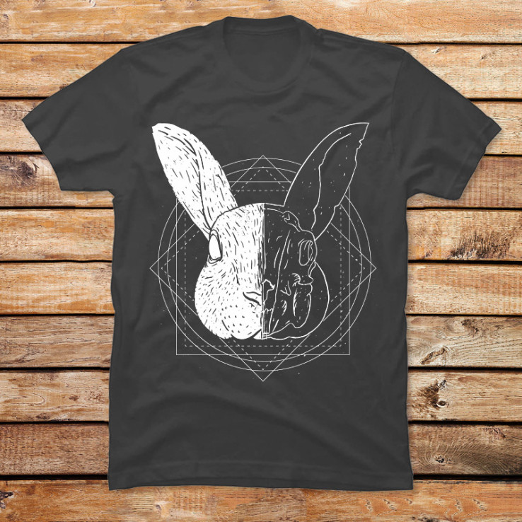 Rabbit Skull