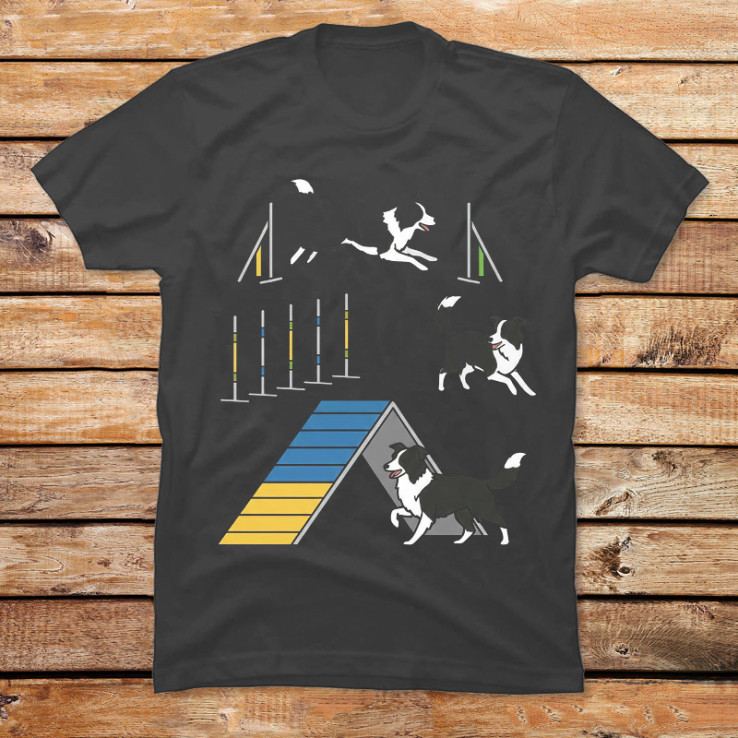 Border Collie Agility