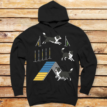 Border Collie Agility