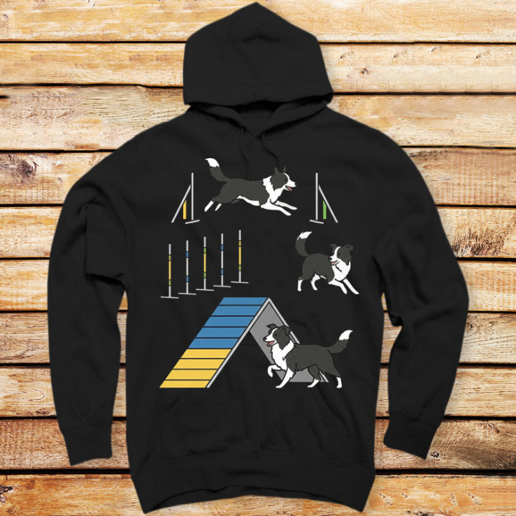 Border Collie Agility